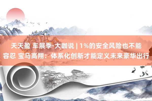 天天盈 车展季·大咖说 | 1%的安全风险也不能容忍 宝马高翔：体系化创新才能定义未来豪华出行