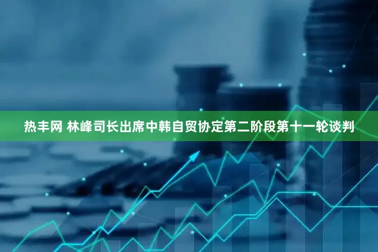 热丰网 林峰司长出席中韩自贸协定第二阶段第十一轮谈判