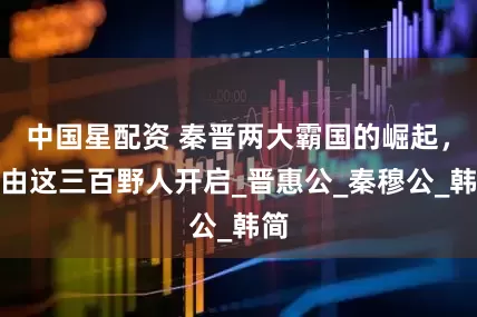 中国星配资 秦晋两大霸国的崛起，都由这三百野人开启_晋惠公_秦穆公_韩简