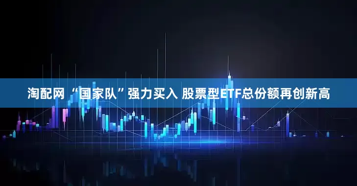淘配网 “国家队”强力买入 股票型ETF总份额再创新高