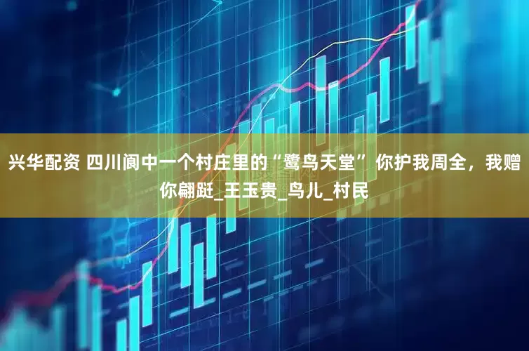 兴华配资 四川阆中一个村庄里的“鹭鸟天堂” 你护我周全，我赠你翩跹_王玉贵_鸟儿_村民
