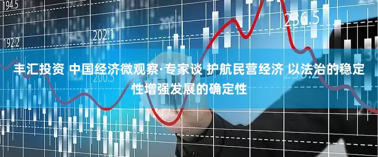 丰汇投资 中国经济微观察·专家谈 护航民营经济 以法治的稳定性增强发展的确定性