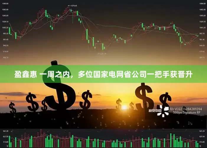 盈鑫惠 一周之内，多位国家电网省公司一把手获晋升