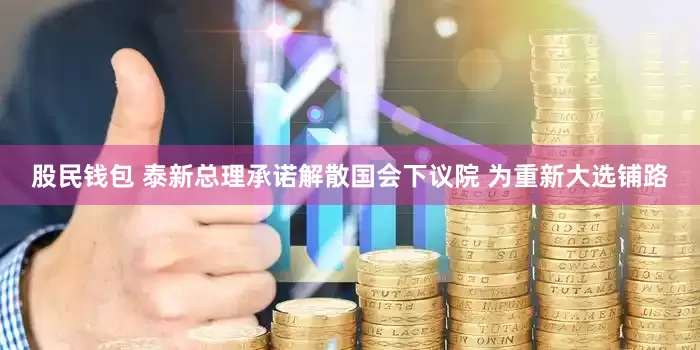 股民钱包 泰新总理承诺解散国会下议院 为重新大选铺路